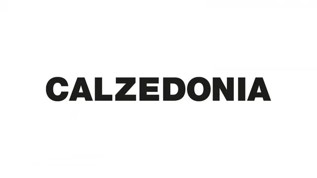 Calzedonia logo